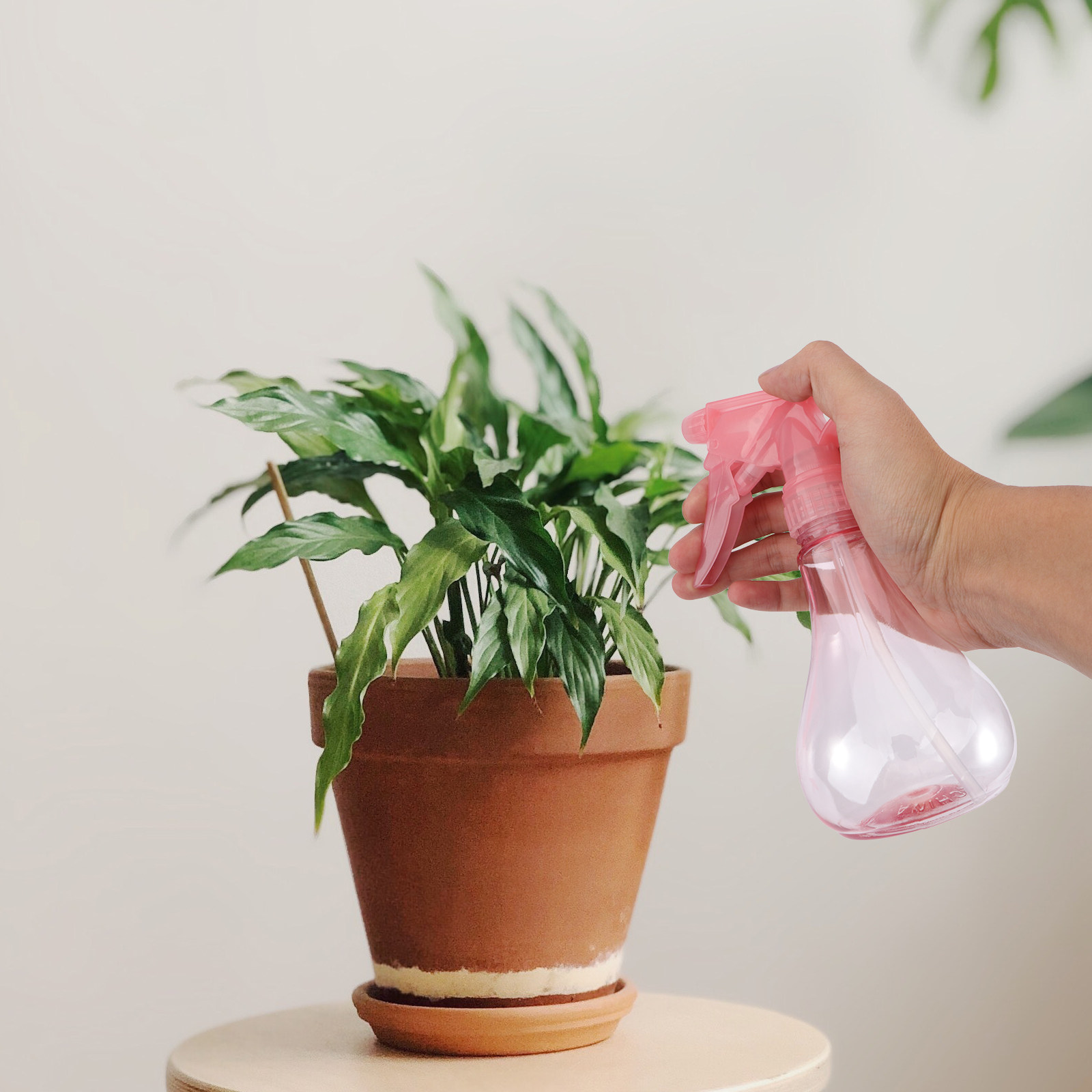 Succulent Set - ミニ多肉植物植え付けツールキット1セット、ガーデン植え付けツールセット、植え替え用花アクセサリー、人間工学に基づいたデザイン