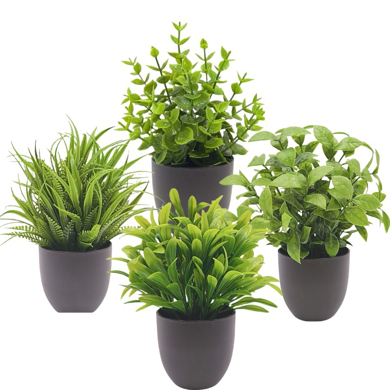 Succulent Set - シミュレーショングリーンプラント盆栽 越境オフィスインテリア装飾撮影用オーナメント 小型鉢植えシミュレーションフラワー