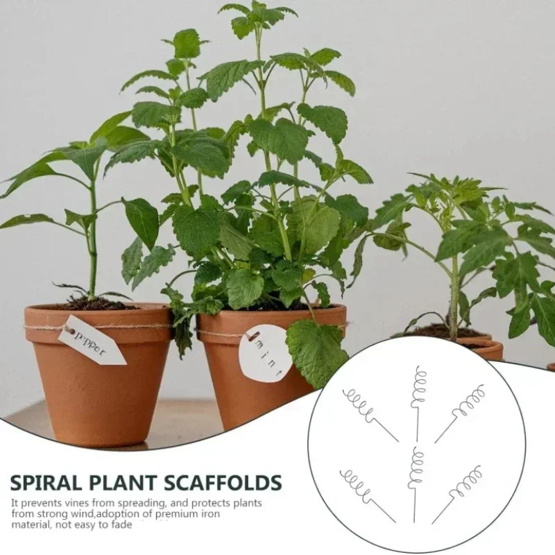 つる性植物サポートステークスタンド、つる性植物ラック、トマト - Plant Support Stake のレビューと価格