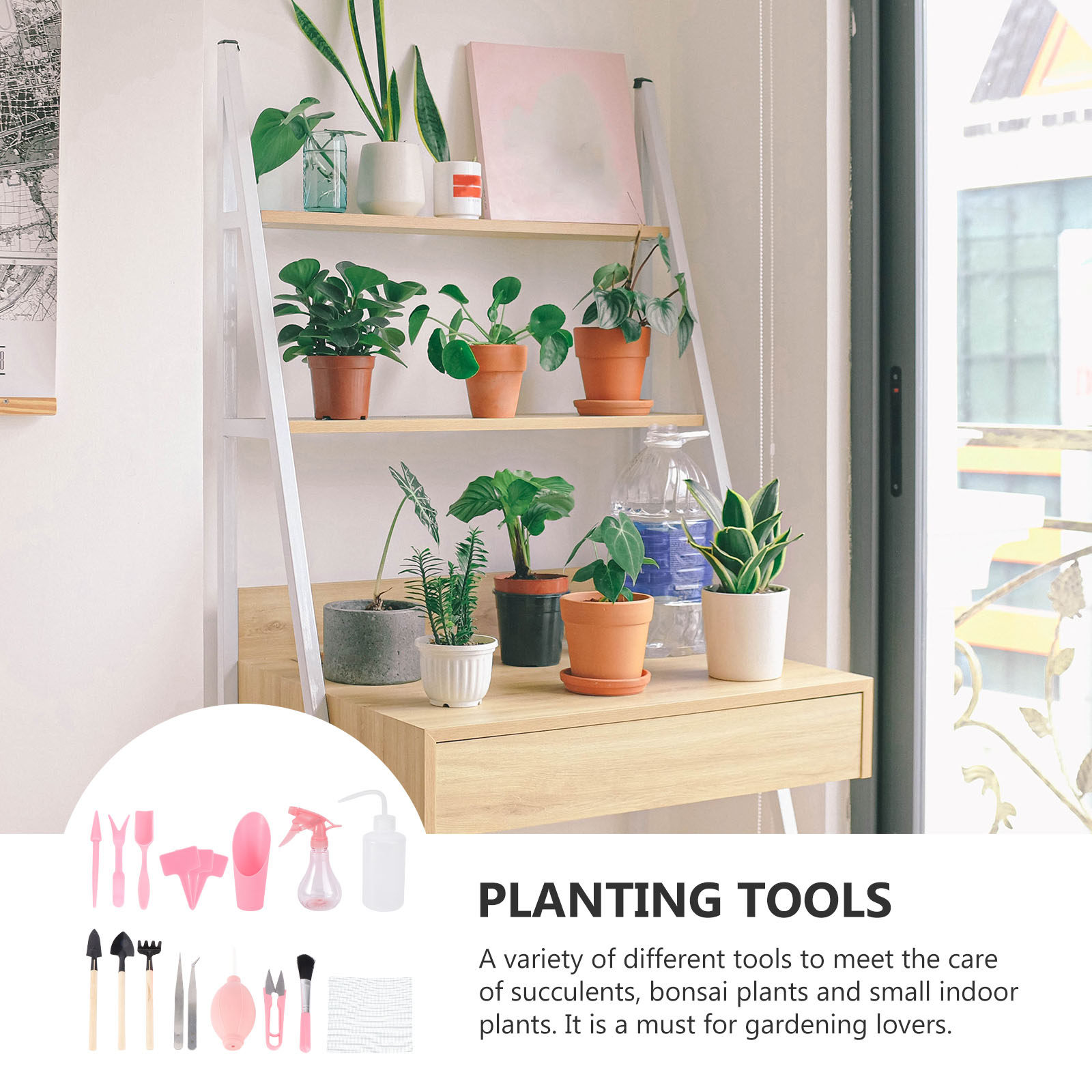 ミニ多肉植物植え付けツールキット1セット、ガーデン植え付けツ - Succulent Set のレビューと価格
