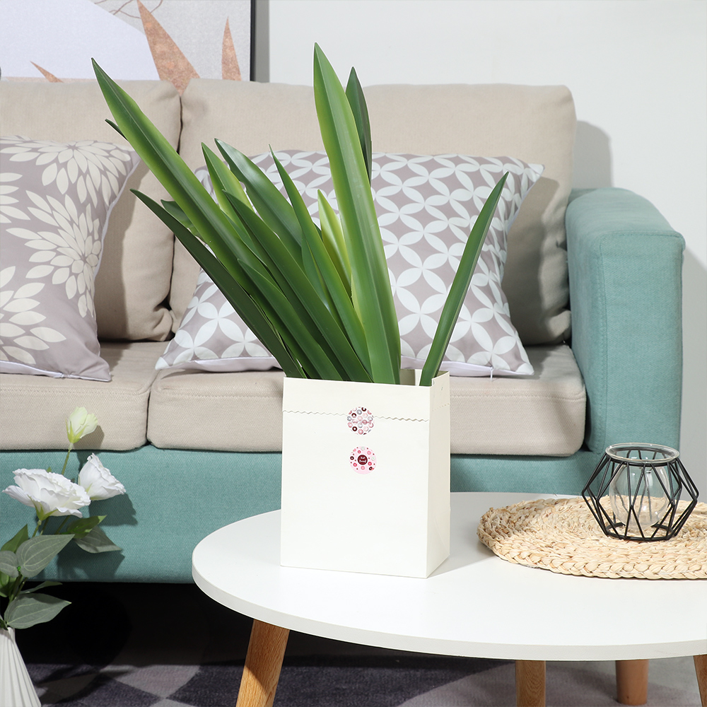高品質の人工蘭の葉、シリコン感、人工装飾、庭のシミュレーショ - Snake Plant のレビューと価格