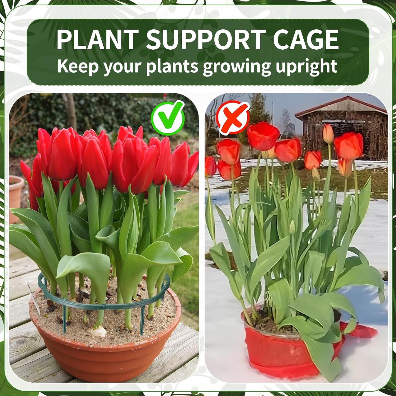 1/16個入り 植物支柱 花温室用固定棒ホルダー スタンド杭 - Plant Support Stake のレビューと価格