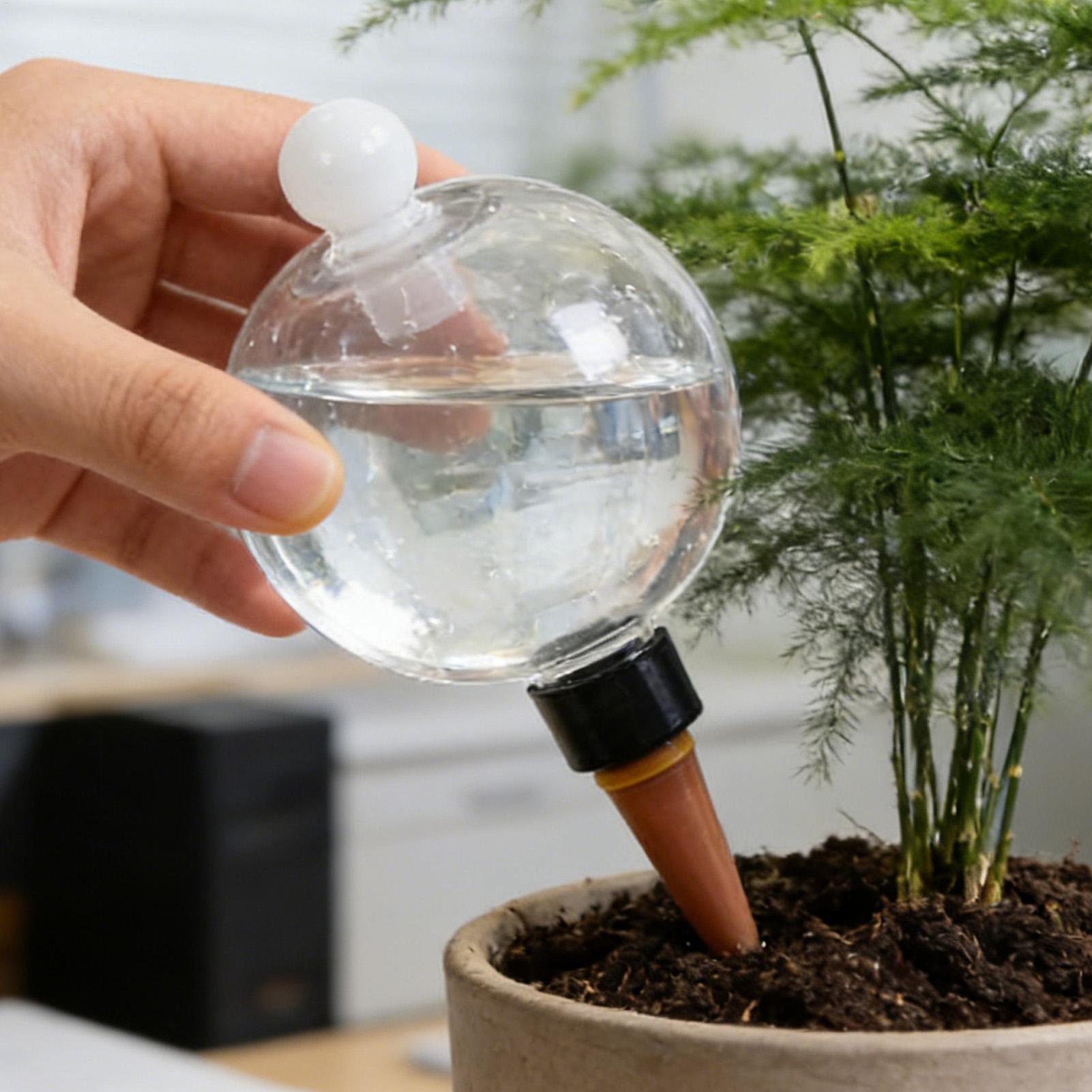 植物散水用ボール 4個入り 500ml 透明自動給水グローブ - Succulent Set のレビューと価格