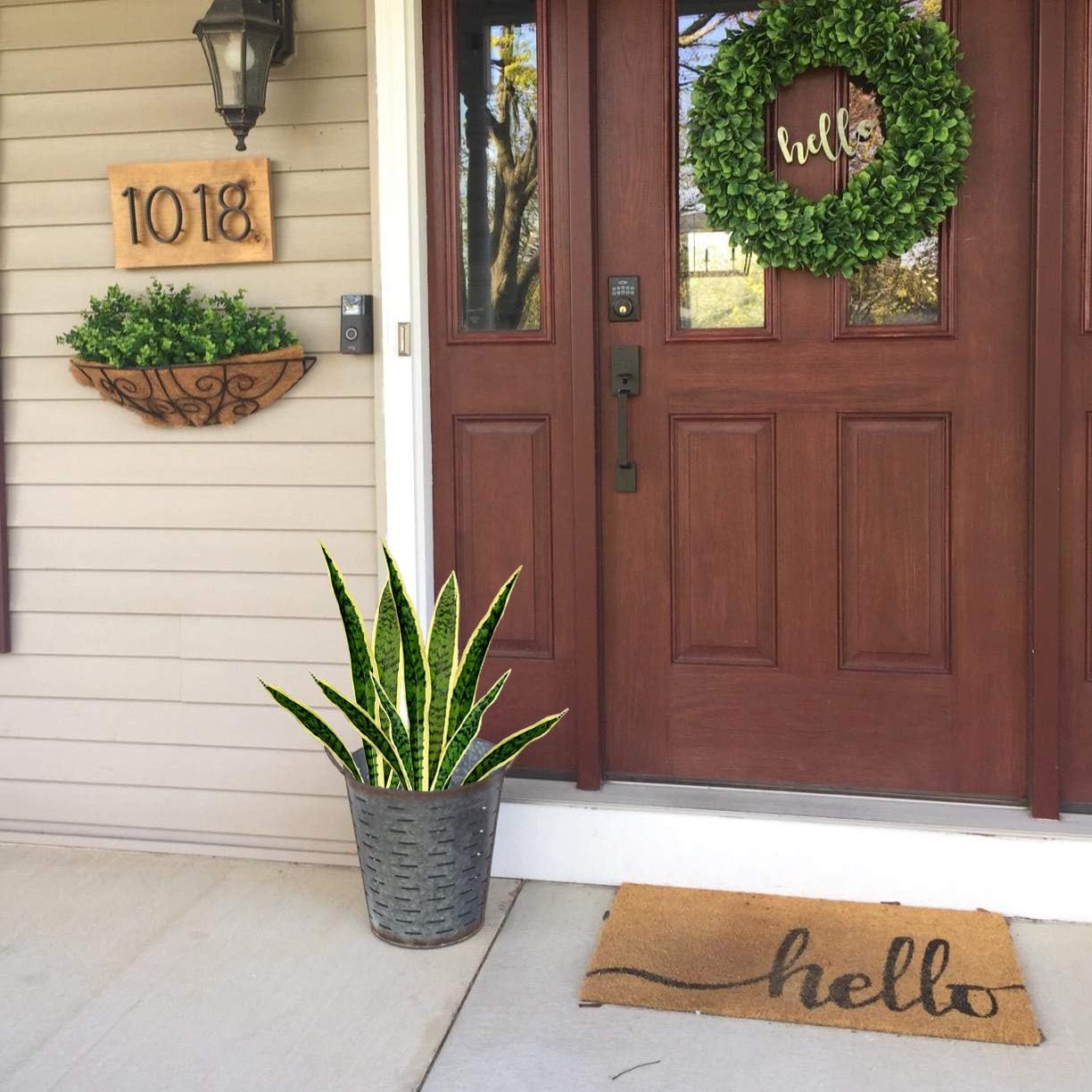 人工スネークフェイサビリア植物、屋内屋外ホームガーデンオフィ - Snake Plant のレビューと価格