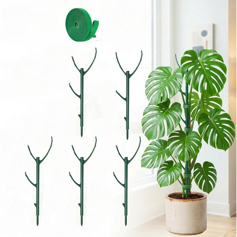 モンステラ植物サポートステーク 5本のサポートフレームと1巻 - Plant Support Stake のレビューと価格