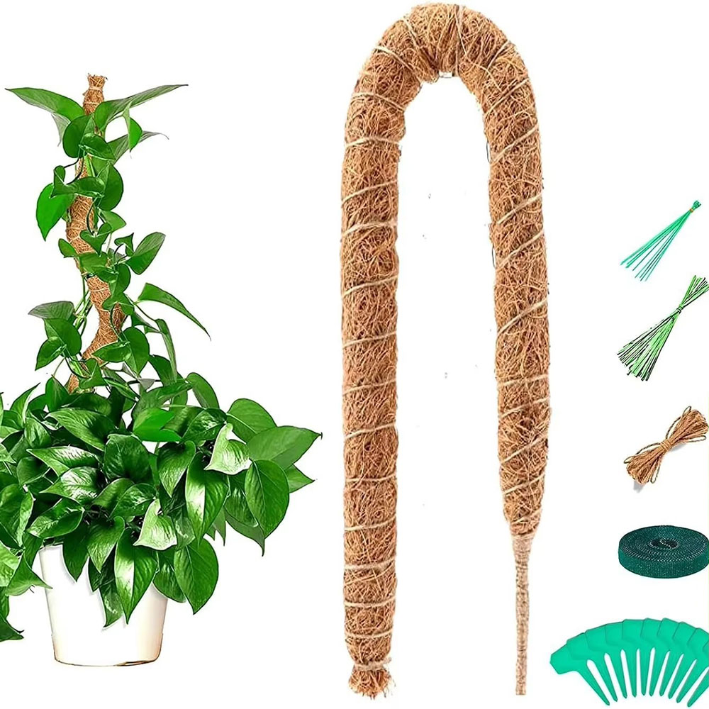 園芸用ココナッツヤシ棒 グリーンロウ 鉢植え植物固定用 植物 - Pothos のレビューと価格