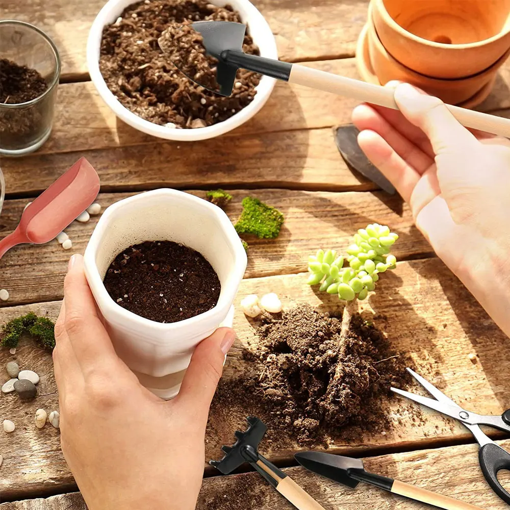 屋内多肉植物ツールセット、黒の鉢植え、サボテンの植物の栽培、 - Succulent Set のレビューと価格