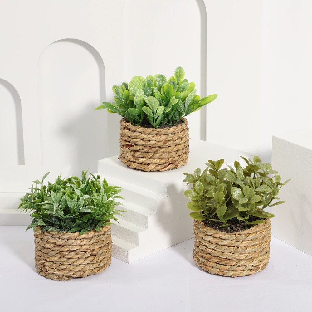 人工緑の鉢植えの植物,ユーカリの草,シミュレートされた鉢植え - Succulent Set のレビューと価格