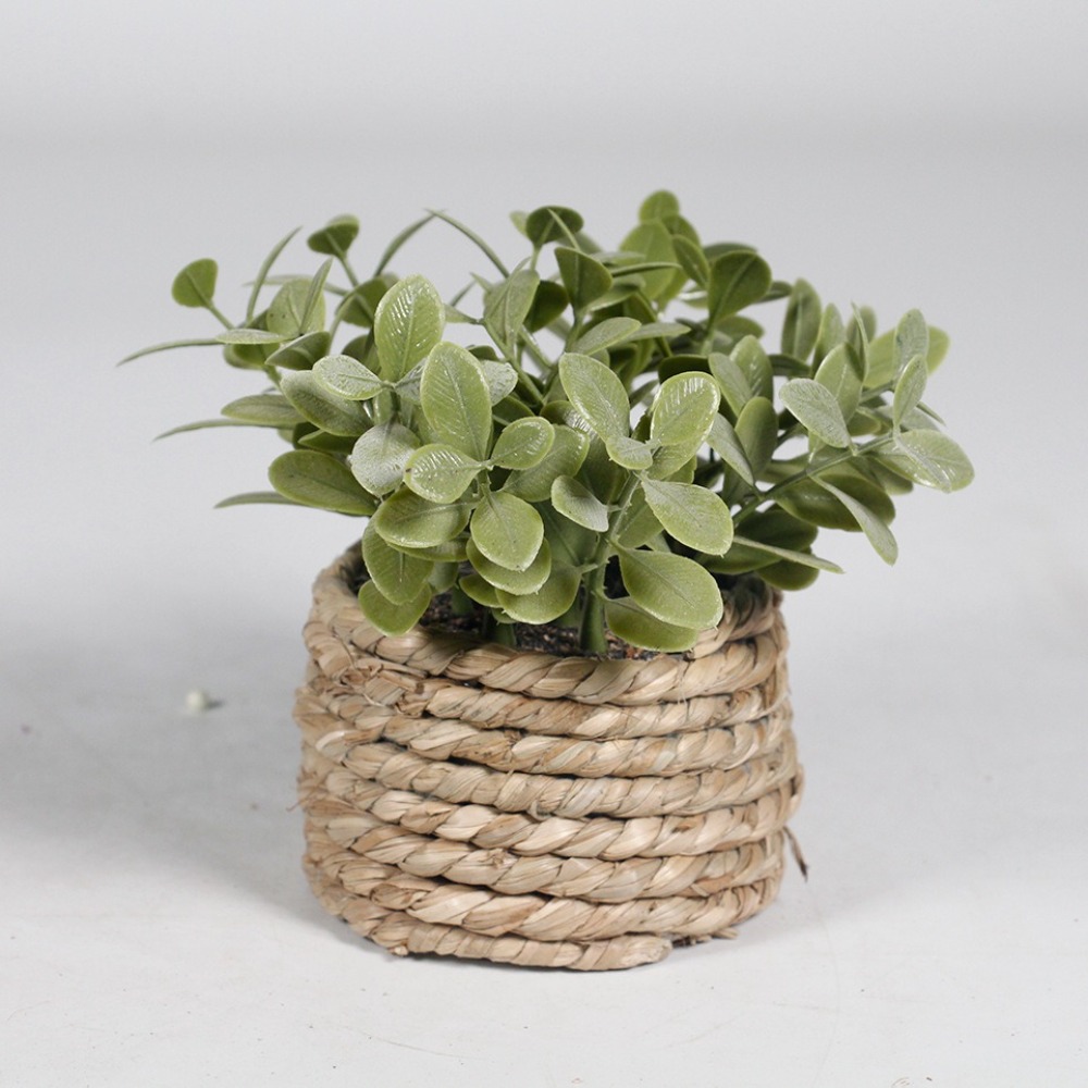 人工緑の鉢植えの植物,ユーカリの草,シミュレートされた鉢植え - Succulent Set のレビューと価格