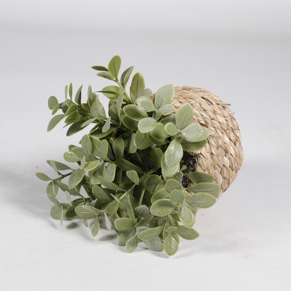 人工緑の鉢植えの植物,ユーカリの草,シミュレートされた鉢植え - Succulent Set のレビューと価格