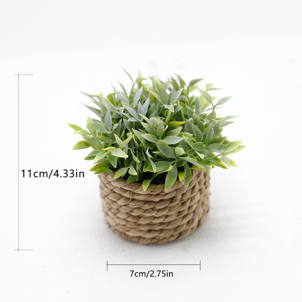 人工緑の鉢植えの植物,ユーカリの草,シミュレートされた鉢植え - Succulent Set のレビューと価格
