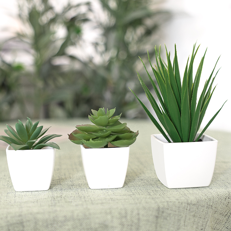 人工緑の植物盆栽,家庭,レストラン,オフィス,デスク,窓の装 - Succulent Set のレビューと価格