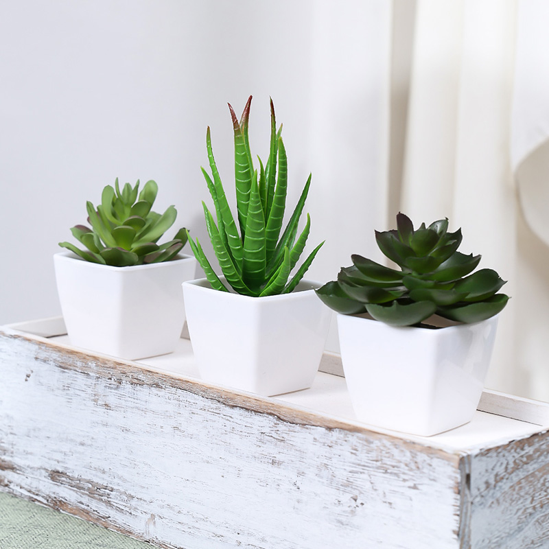 人工緑の植物盆栽,家庭,レストラン,オフィス,デスク,窓の装 - Succulent Set のレビューと価格