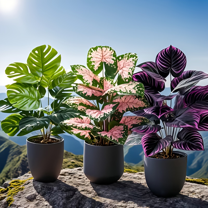 3個入りミックス人工植物セット 大型ピンクモンステラ フェイ - Fiddle Leaf Fig のレビューと価格